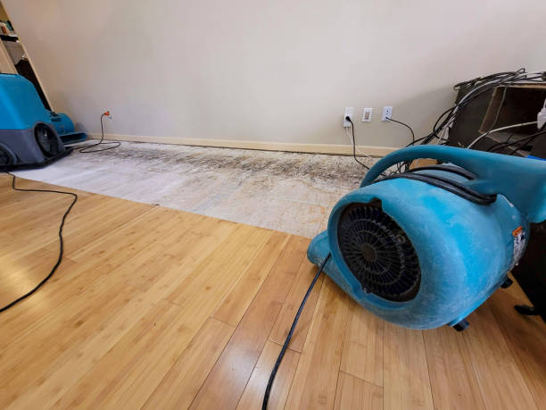 Professional Sewage Cleanup technician working in Monroe, WA